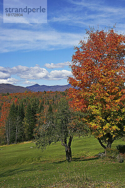Herbstlandschaft  Stowe  Vermont  USA