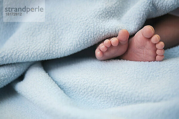 Close-up of infant's feet surrounded by blanket  studio shot