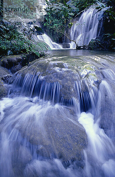 Wasserfälle  Ocho Rios  Jamaika  Westindische Inseln