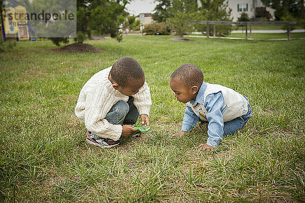Brüder beobachten Gras unter der Lupe im Park  Maryland  USA