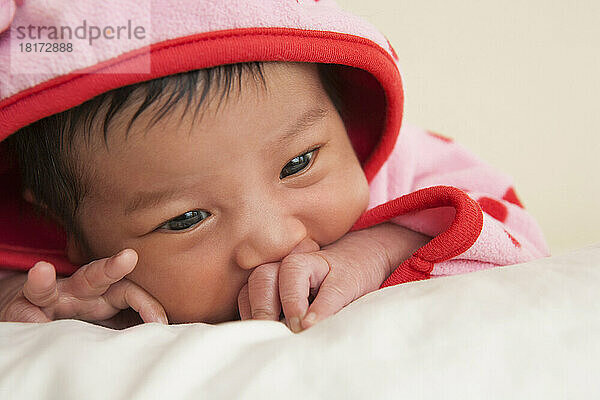 Close-up portrait of two week old Asian baby girl in pink polka dot hooded jacket  studio shot