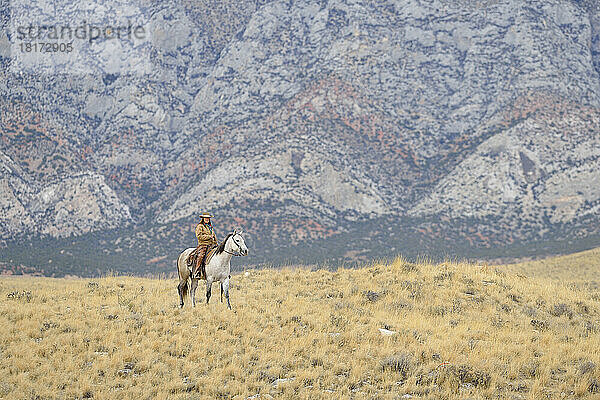 Cowgirl reitet Pferd in der Wildnis  Rocky Mountains  Wyoming  USA
