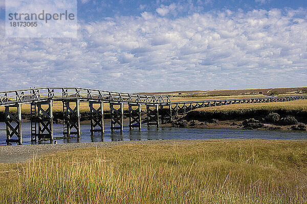 Sandwich Boardwalk und Mill Creek  Sandwich  Cape Cod  Massachusetts  USA