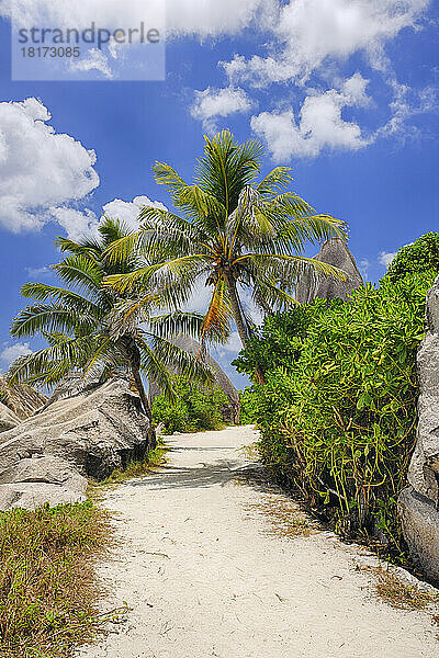 Fußweg durch Felsen und Palmen  Anse Source d´Argent  La Digue  Seychellen