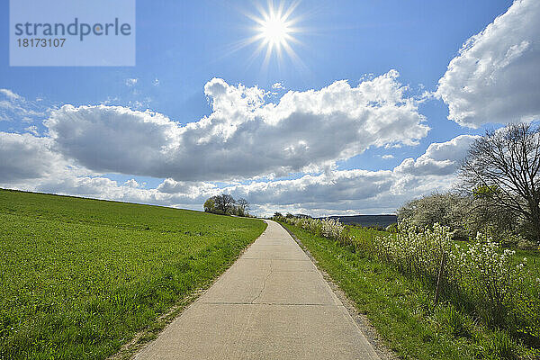 Straße durch Feld mit Sonne  Bettingen  Wertheim  Main-Tauber-Kreis  Odenwald  Baden-Württemberg  Deutschland