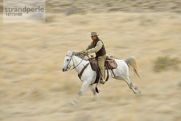 Verschwommene Bewegung eines Cowboys auf einem Pferd  das in der Wildnis galoppiert  Rocky Mountains  Wyoming  USA