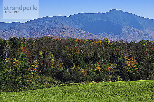 Mount Mansfield  Cambridge  Vermont  USA