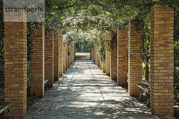 Gehweg  Nationalgarten von Athen  Zappeion  Athen  Attika  Griechenland