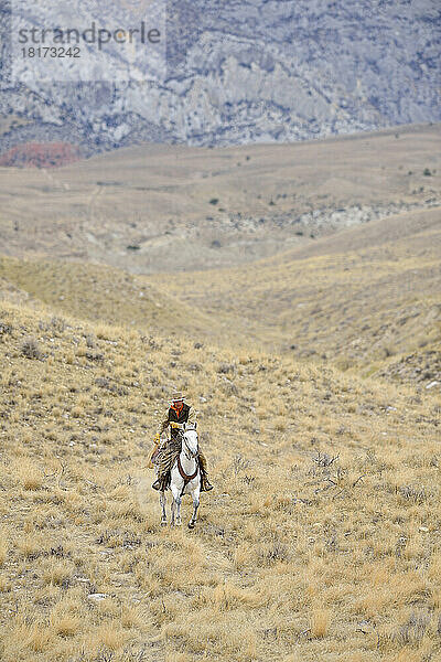 Cowboy reitet Pferd in der Wildnis  Rocky Mountains  Wyoming  USA