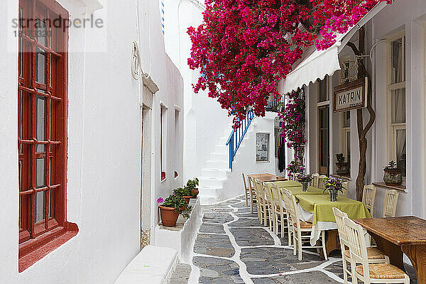 Restaurant im Freien  Chora  Mykonos-Stadt  Mykonos  Kykladen  griechische Inseln  Griechenland  Europa