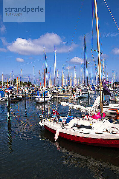 Boote im Hafen  Aeroskobing  Aero Island  Halbinsel Jütland  Region Syddanmark  Dänemark  Europa