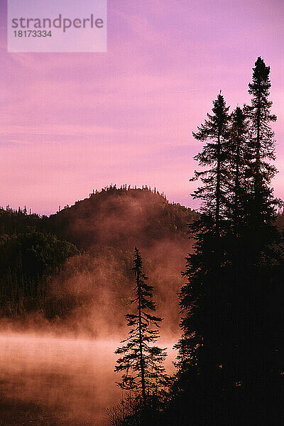 See und Bäume mit Nebel bei Sonnenaufgang  in der Nähe von Schreiber  Ontario  Kanada