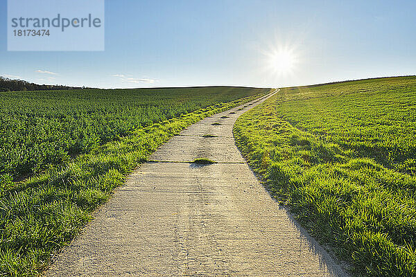 Straße durch Feld mit Sonne  Helmstadt  Franken  Bayern  Deutschland