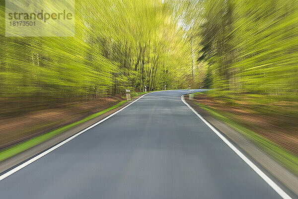 Fahrt auf einer asphaltierten Straße durch den Quellwald bei Amorbach im Odenwald  Unterfranken  Bayern  Deutschland