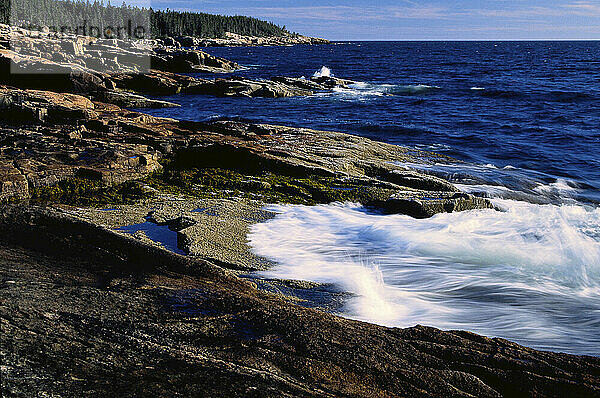 Küste  Schoodic Point  Acadia-Nationalpark  Maine  USA