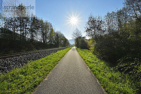 Radweg mit Sonne im Frühling  Faulbach  Churfranken  Spessart  Miltenberg-Bezirk  Bayern  Deutschland