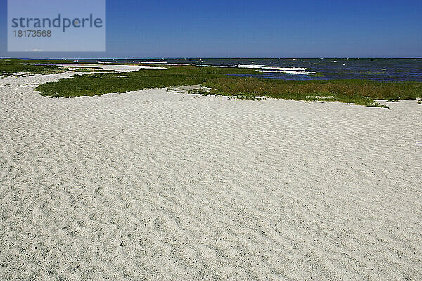 Strand von Rock Harbor  Orleans  Cape Cod  Massachusetts  USA