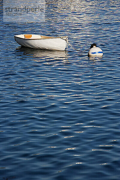 Boot  New Harbor  Bristol  Lincoln County  Maine  USA