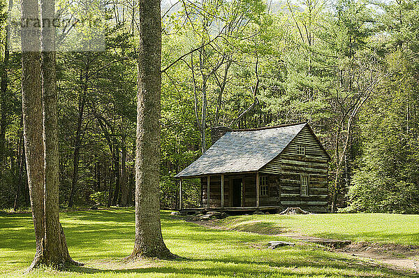 Die Carter Shields-Hütte in Cades Cove.; Cades Cove  Great-Smoky-Mountains-Nationalpark  Tennessee.