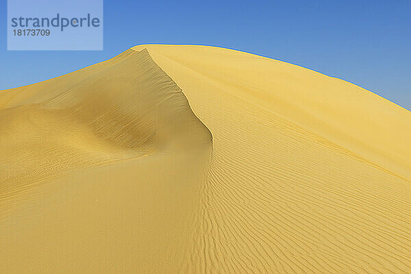 Spitze der Sanddüne gegen blauen Himmel  Matruh  Großes Sandmeer  Libysche Wüste  Sahara  Ägypten  Nordafrika  Afrika