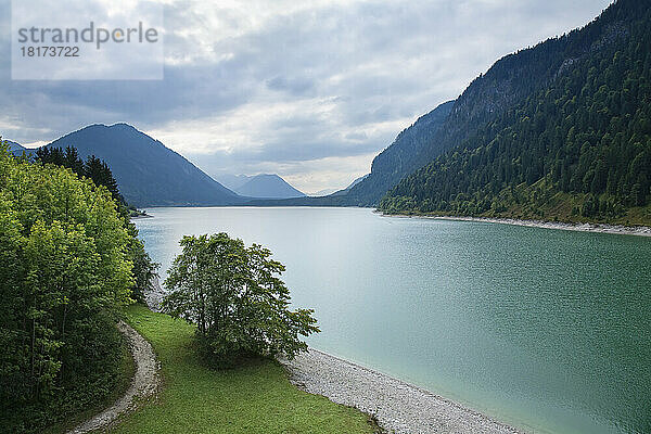 Sylvensteinsee  Isartal  Oberbayern  Bayern  Deutschland