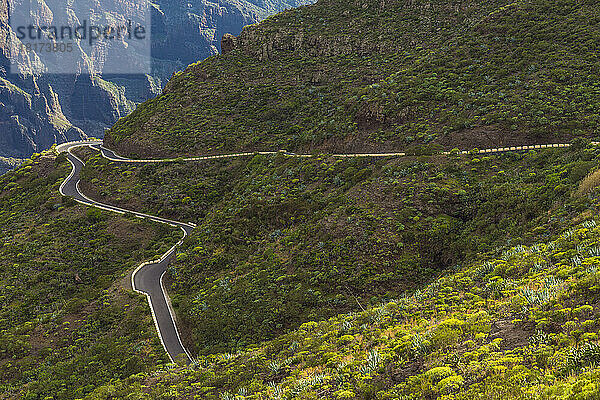 Gebirgspassstraße  Teno-Gebirge  Masca  Teneriffa  Kanarische Inseln  Spanien