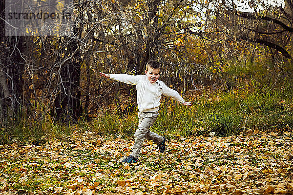 Kleiner Junge spielt Flugzeug und läuft in einem Stadtpark während eines Familienausflugs im Herbst; St. Albert  Alberta  Kanada