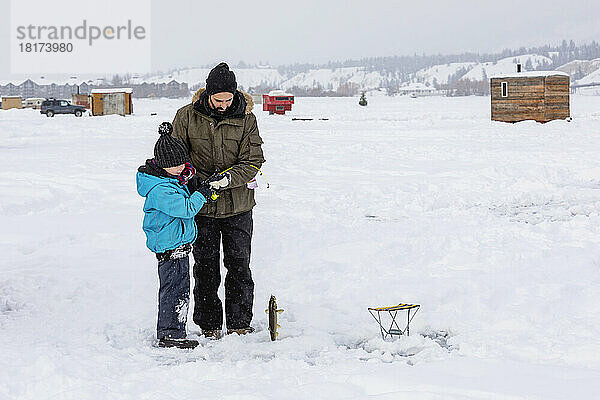 Vater und sein kleiner Sohn fangen einen Fisch beim Eisfischen auf dem zugefrorenen Windermere Lake  Windermere Lake Provincial Park; Invermere  British Columbia  Kanada