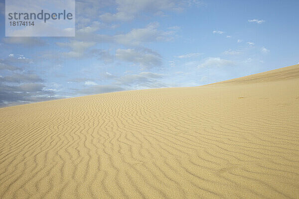 Wellen in der Sanddüne  Dune du Pilat  Arcachon  Frankreich