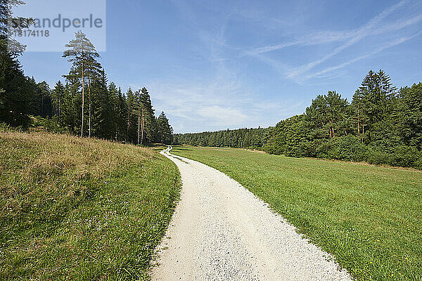 Landschaft mit Wanderweg zwischen Wald und Wiesen im Spätsommer  Oberpfalz  Bayern  Deutschland