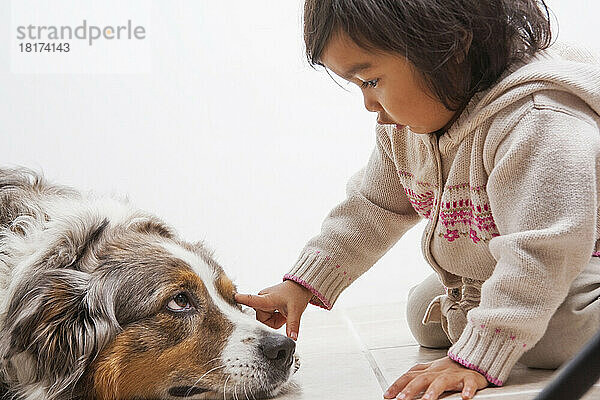Toddler Girl touching Australian Shapherd Dog's Eye