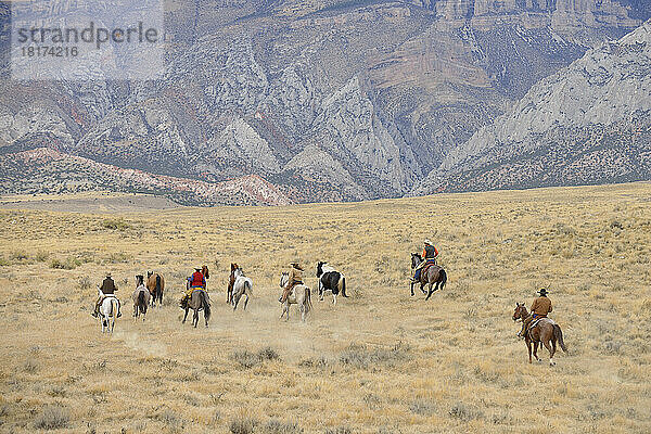 Cowboys hüten Pferde in der Wildnis  Rocky Mountain  Wyoming  USA