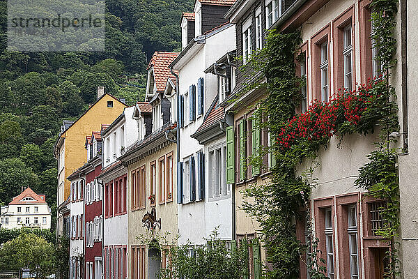 Außenseite der Häuser in der Altstadt  Heidelberg  Deutschland