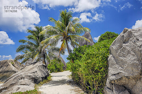 Fußweg durch Felsen und Palmen  Anse Source d´Argent  La Digue  Seychellen