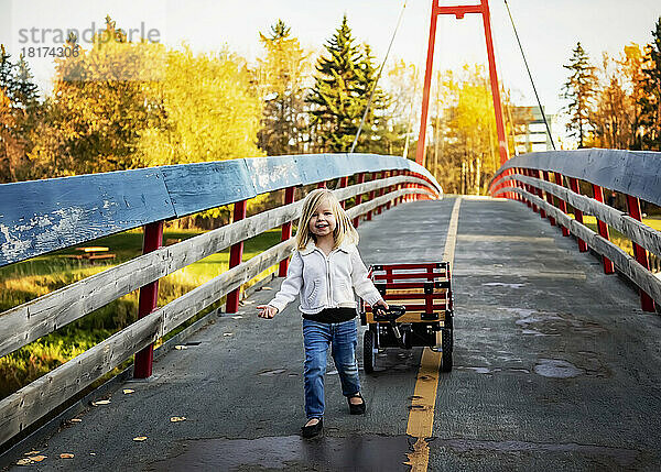 Junges Mädchen zieht im Herbst ihren Wagen über eine Brücke über einen Fluss in einem Stadtpark; St. Albert  Alberta  Kanada