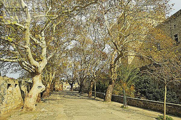 Stadtmauern der Altstadt  Rhodos-Stadt  Rhodos  Dodekanes  Ägäis  Griechenland  Europa