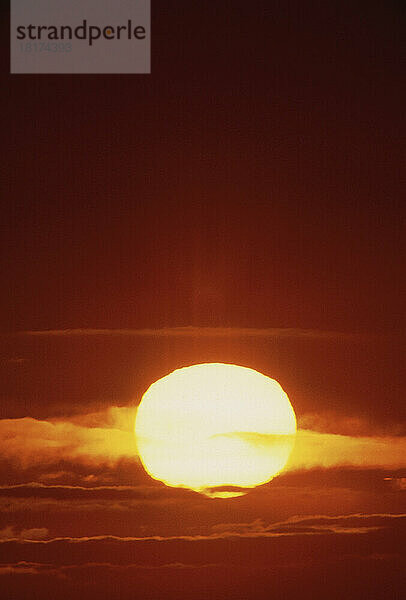 Sonnenaufgang am North Head  Grand Manan Island  New Brunswick  Kanada