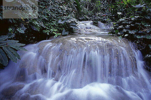 Wasserfälle  Ocho Rios  Jamaika  Westindische Inseln