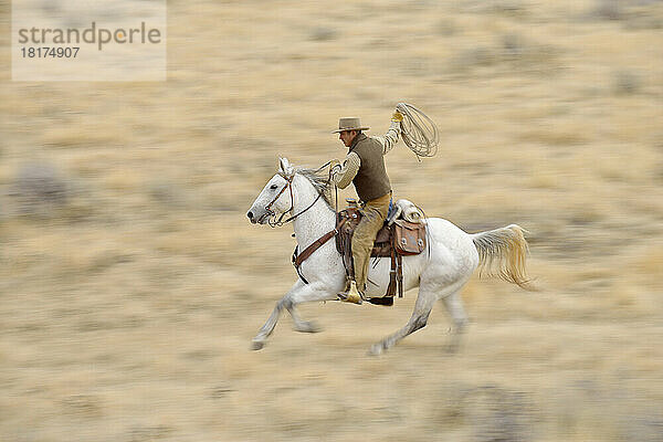 Verschwommene Bewegung eines Cowboys auf einem Pferd mit Lasso im Galopp in der Wildnis  Rocky Mountains  Wyoming  USA