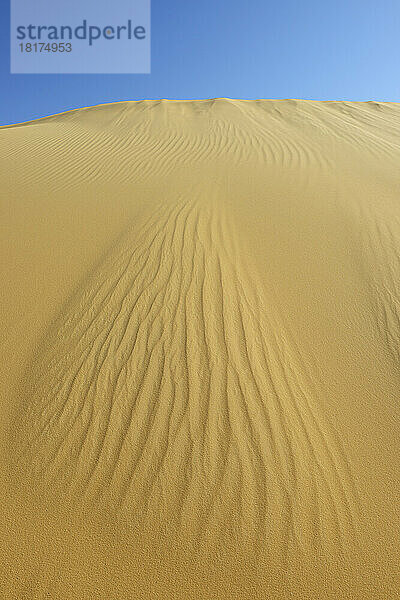 Sanddüne und blauer Himmel  Matruh  Großes Sandmeer  Libysche Wüste  Sahara  Ägypten  Nordafrika  Afrika