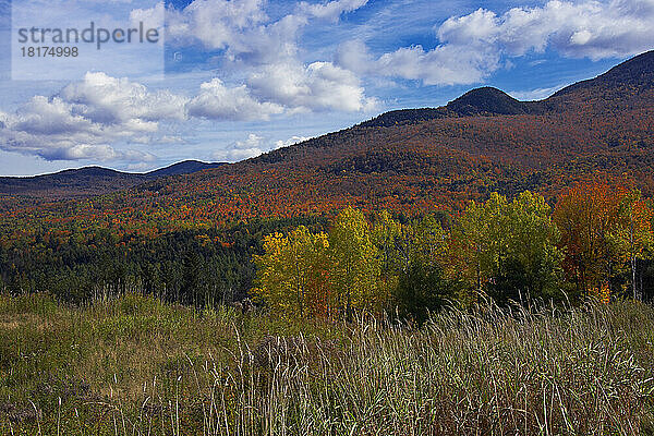 Herbstlandschaft  Stowe  Vermont  USA