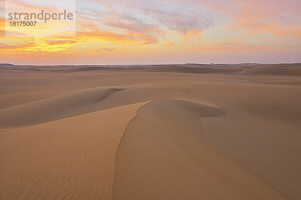 Sanddünen im Morgengrauen  Gouvernement Matruh  Libysche Wüste  Sahara  Ägypten  Afrika