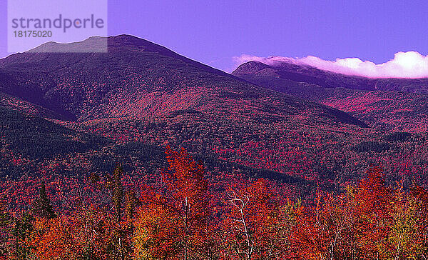 Präsidentenberg. Bereich im Herbst  White Mountain National Forest  New Hampshire  USA