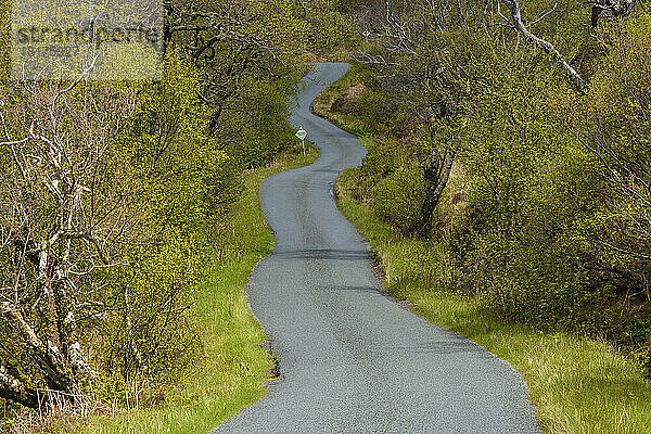 Einspurige Straße  die sich im Frühling durch die Landschaft auf der Isle of Skye in Schottland  Vereinigtes Königreich  schlängelt