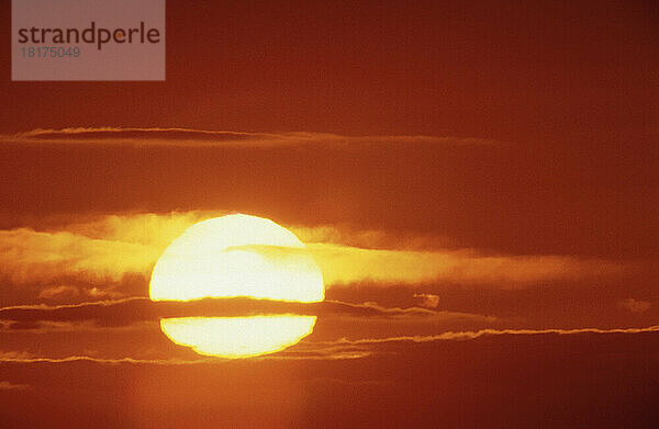 Sonnenaufgang  North Head  Grand Manan Island  New Brunswick  Kanada