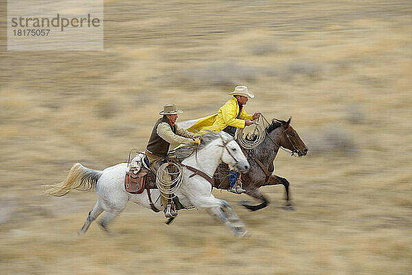 Verschwommene Bewegung von Cowboys auf Pferden  die in der Wildnis galoppieren  Rocky Mountains  Wyoming  USA