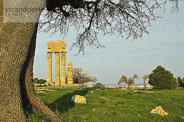 Ruinen des Apollo-Tempels auf der Akropolis von Rhodos  Rhodos-Stadt  Rhodos  Dodekanes  Ägäis  Griechenland  Europa