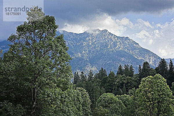 Park  Schloss Linderhof  Oberbayern  Bayern  Deutschland