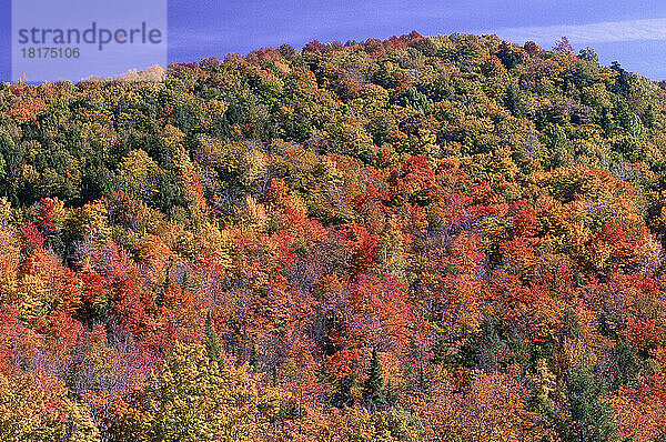 Herbstlandschaft  Stowe  Vermont  USA