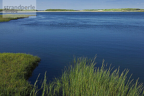 Übersicht über Feuchtgebiete  Gray's Beach  Yarmouth  Cape Cod  Massachusetts  USA